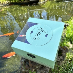 Hộp bánh sinh nhật mã XSP (Support góc) - Cao 20cm - Có Kính