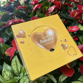 Hộp bánh sinh nhật mã VP20