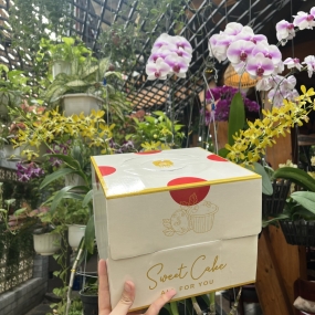 Hộp Bánh Kem Cao 18cm mã Vàng Tim - L2