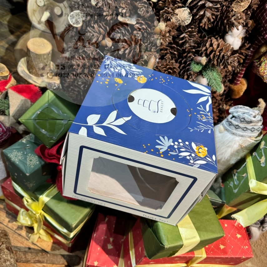 Hộp bánh sinh nhật mã XĐH.20 (SP1)