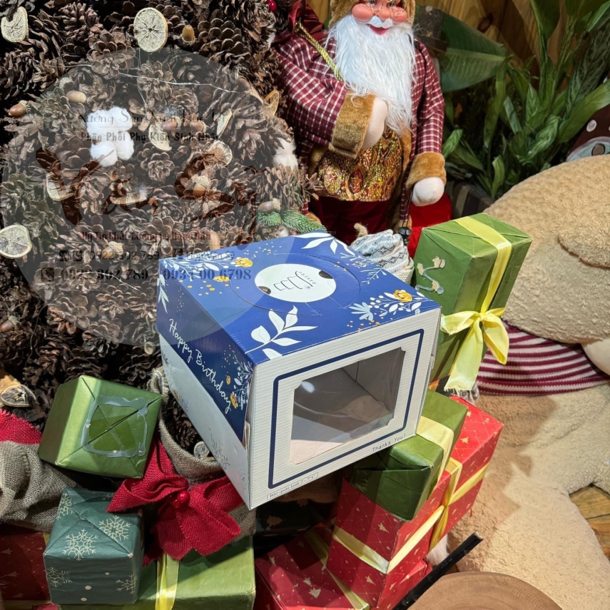 Hộp bánh sinh nhật mã XĐH.20 (SP1)