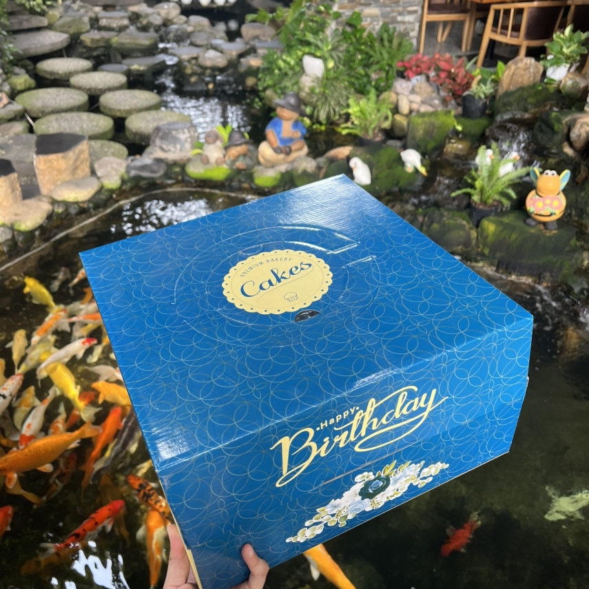 Hộp bánh sinh nhật mã XD20