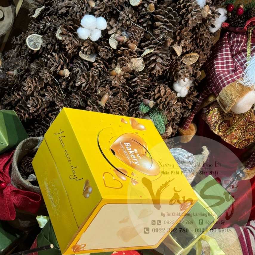 Hộp bánh sinh nhật mã VP20