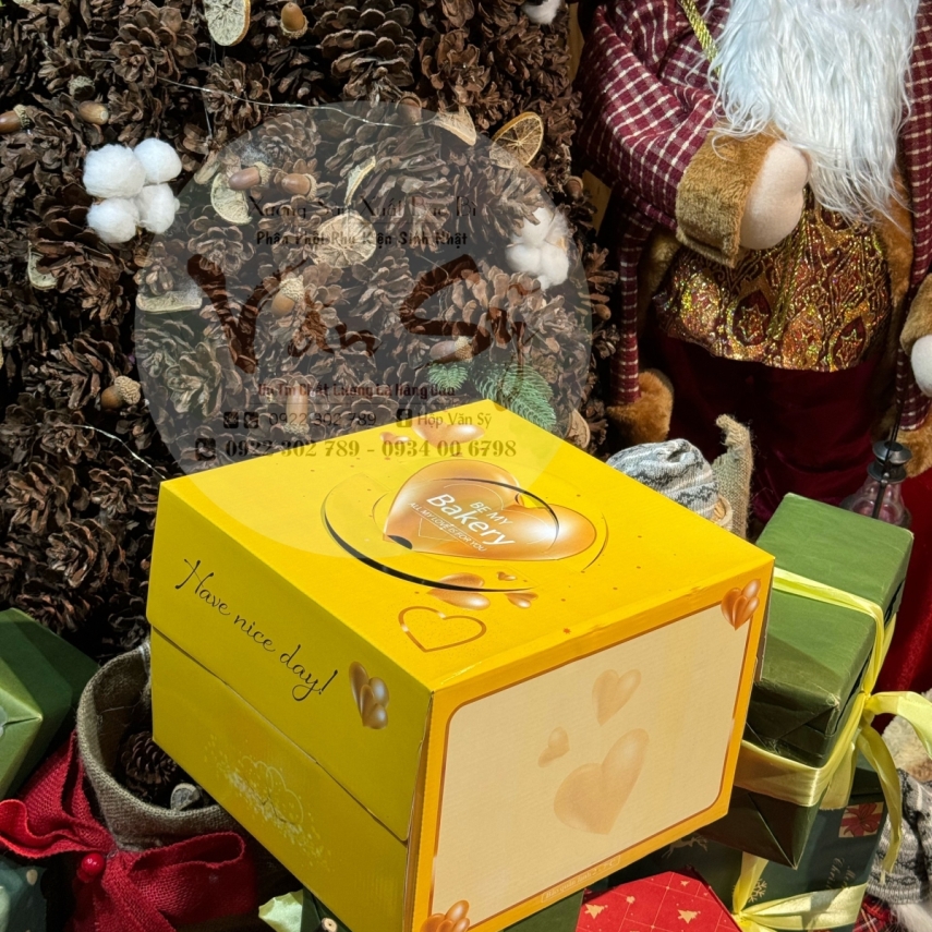 Hộp bánh sinh nhật mã VP20
