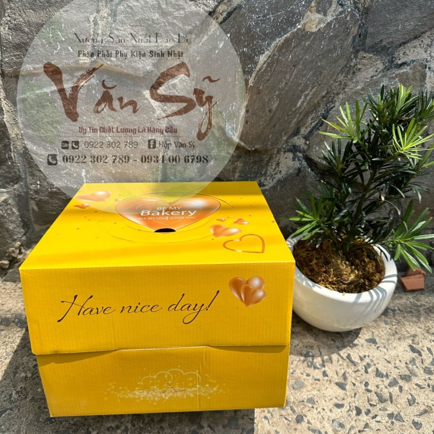 Hộp bánh sinh nhật mã VP20
