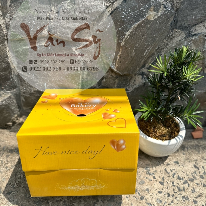 Hộp bánh sinh nhật mã VP20