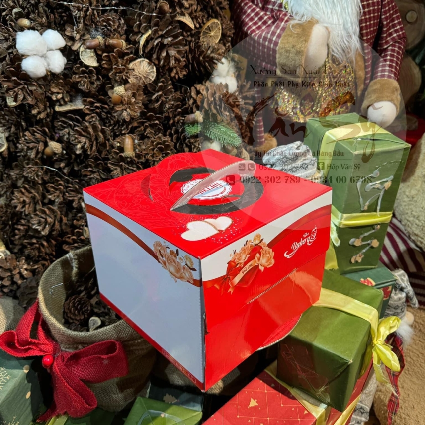 Hộp bánh sinh nhật mã ĐP01