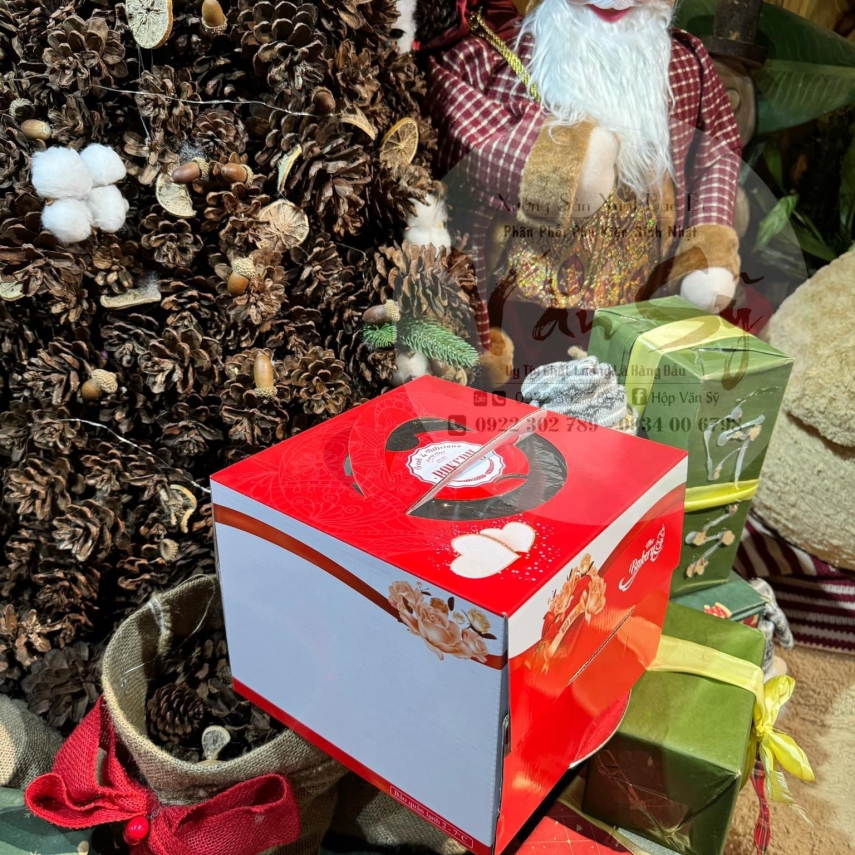 Hộp bánh sinh nhật mã ĐP01