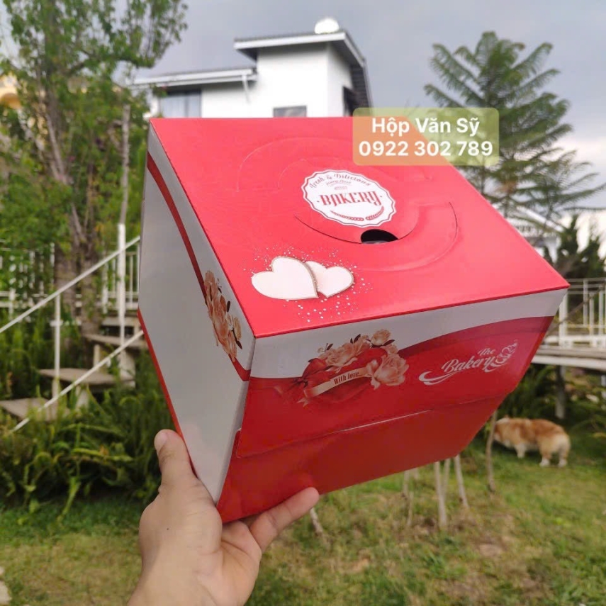 Hộp bánh sinh nhật mã ĐP01