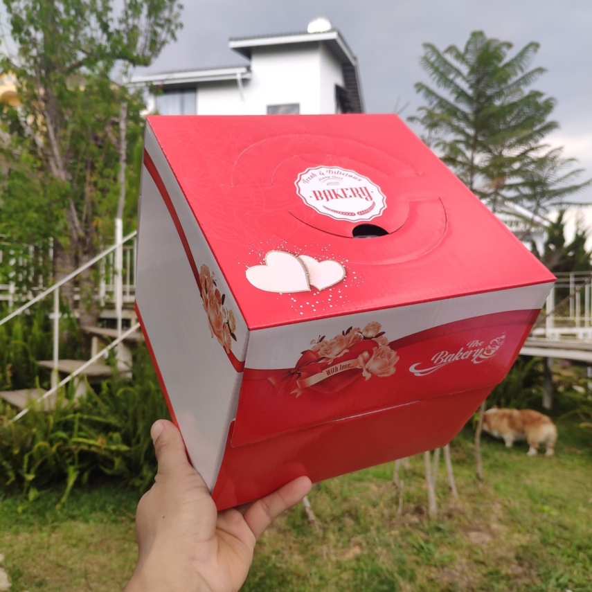 Hộp bánh sinh nhật mã ĐP01