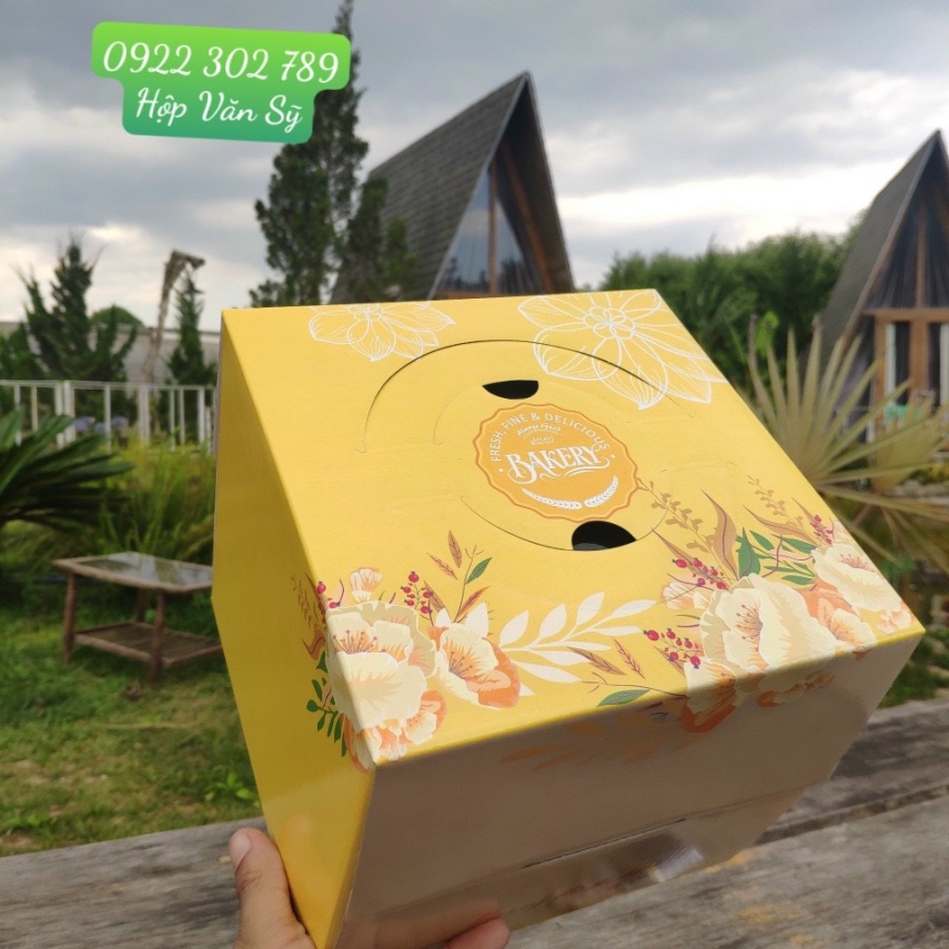 Hộp Bánh Kem Cao 18cm mẫu Vàng Pha - VP 01