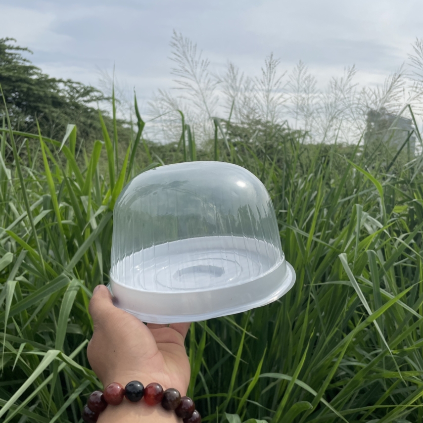 Hộp Nhựa