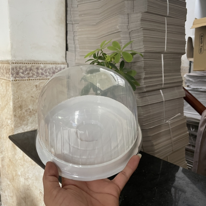Hộp Nhựa