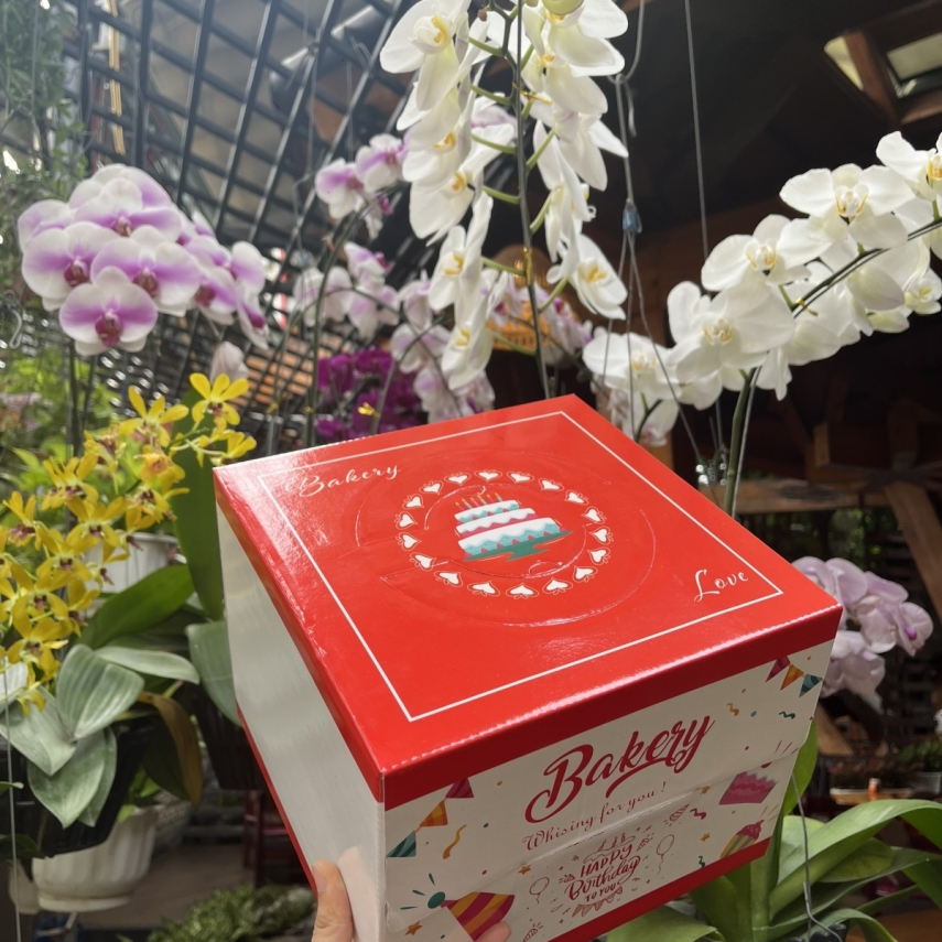 Hộp Bánh Kem Cao 18cm mẫu Đỏ - L2