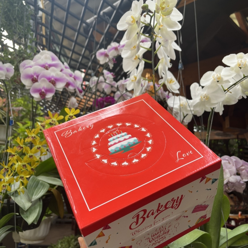 Hộp Bánh Kem Cao 18cm mẫu Đỏ - L2