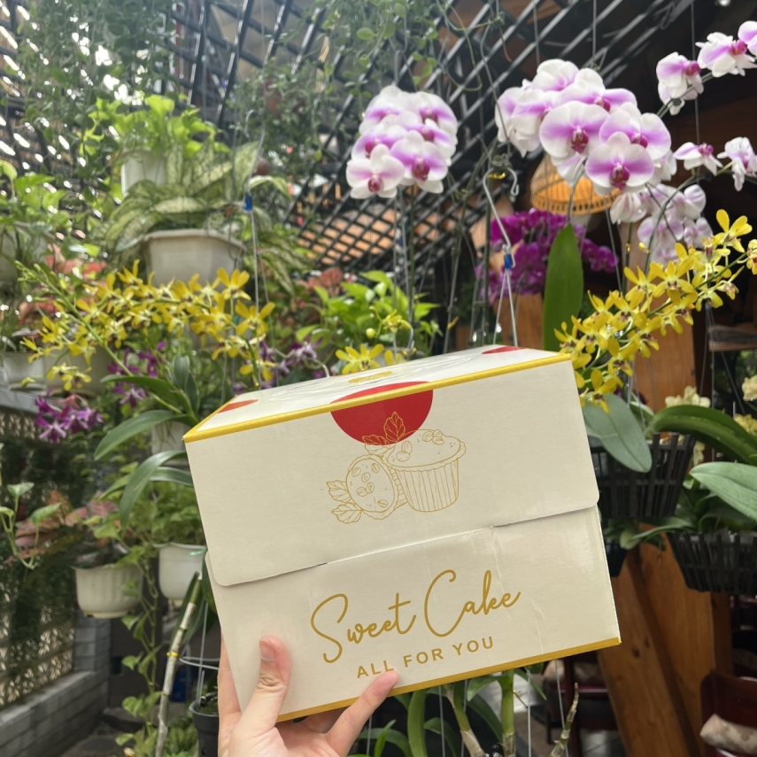 Hộp Bánh Kem Cao 18cm mã Vàng Tim - L2