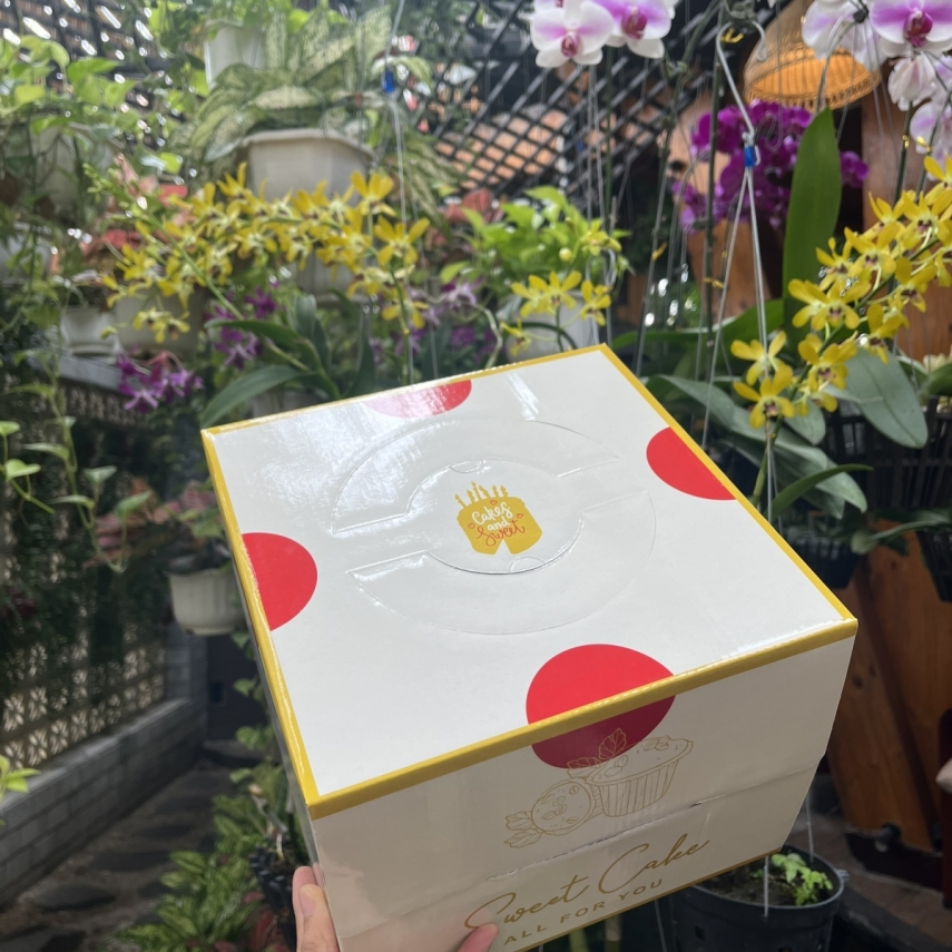 Hộp Bánh Kem Cao 18cm mã Vàng Tim - L2