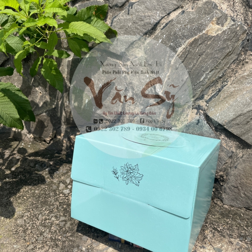 Hộp Bánh Kem Giá Rẻ Cao 18cm mã Xanh Mint
