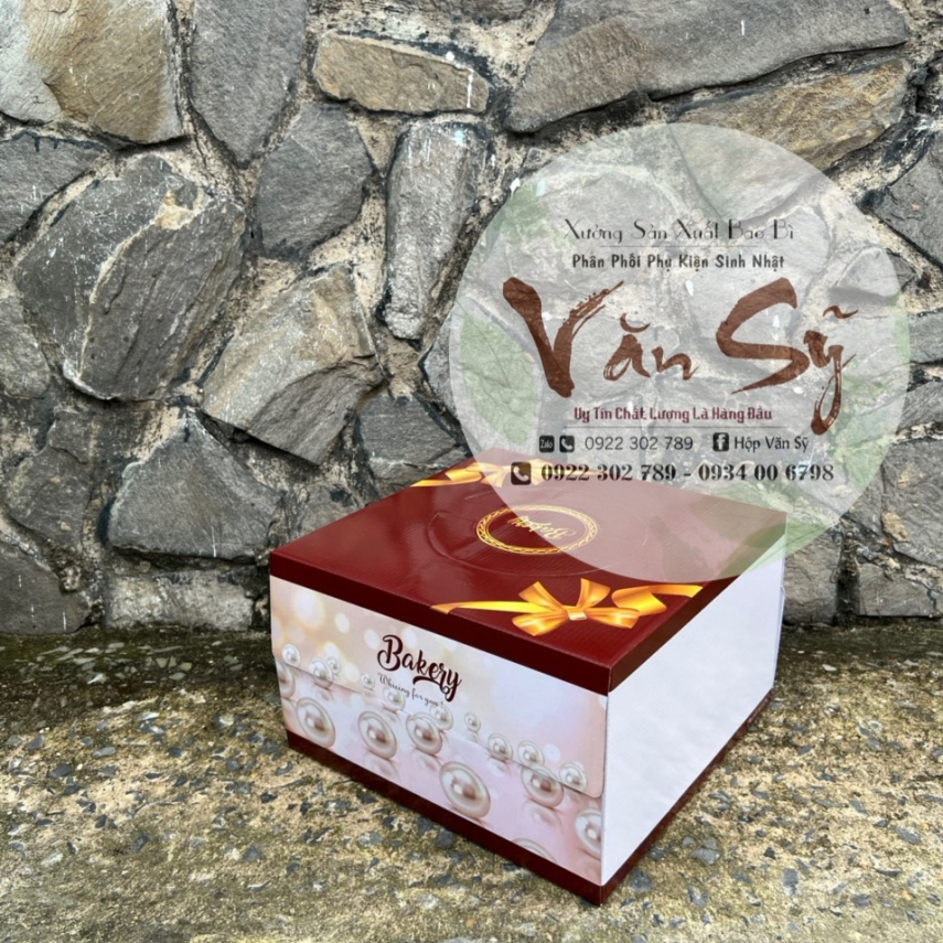 Hộp Bánh Kem Cao 18cm mã SCL - L2