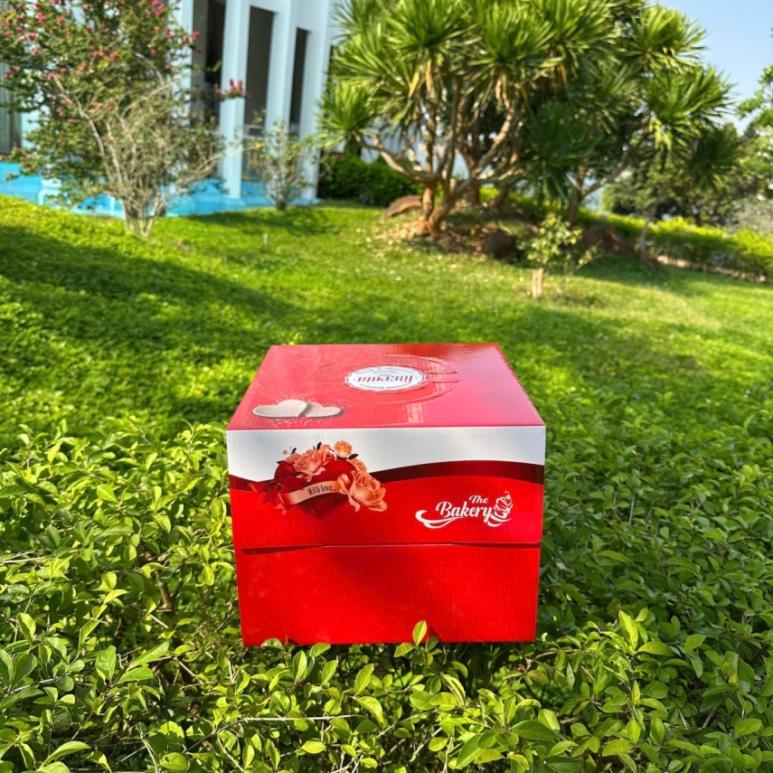 Mẫu Hộp Bánh Sinh Nhật Màu Đỏ - Độ cao 20cm - Tặng miễn phí cửa sổ kính nhìn xuyên qua bánh