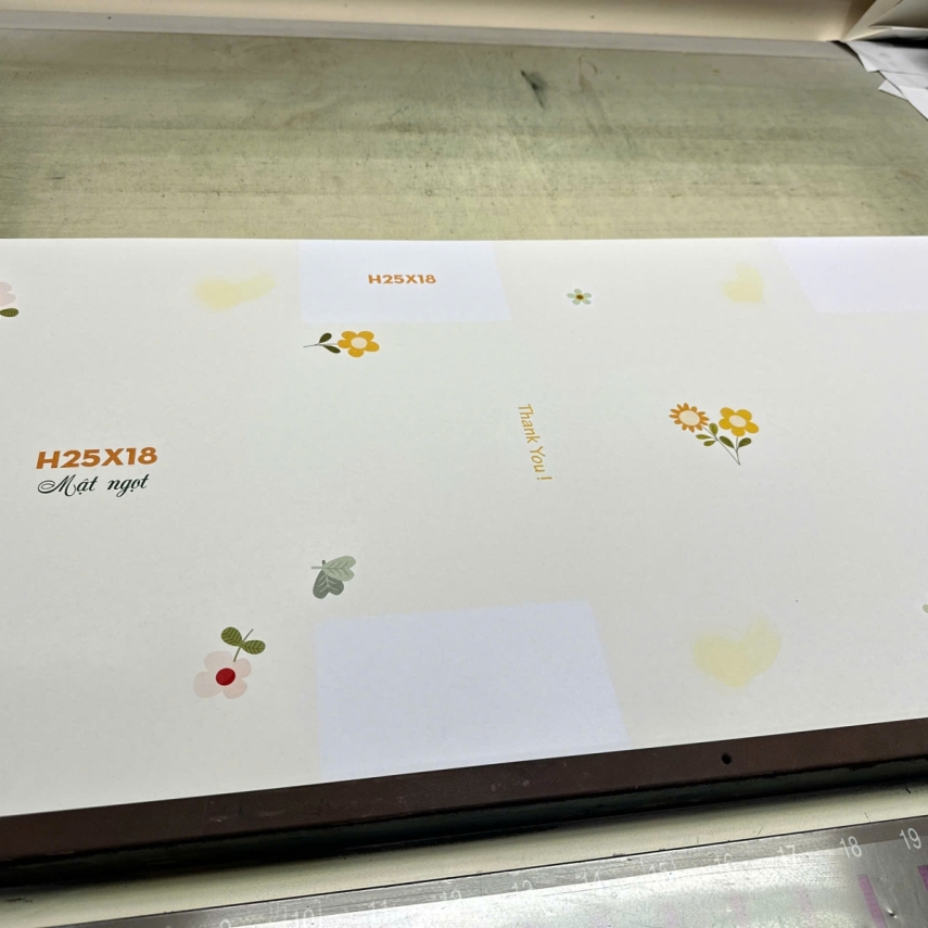 Hộp Bánh Sinh Nhật Cao 20cm - Mẫu Mật Ngọt Cao 20cm - Có Cửa Sổ Kính Tràn